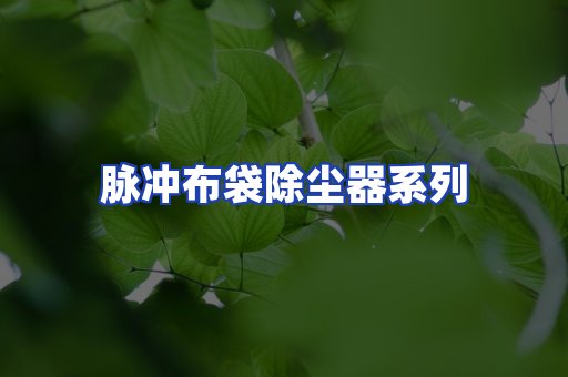 脉冲布袋除尘器系列